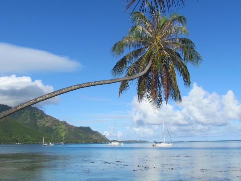 Beach De Reve De Moorea Hauru エクステリア 写真