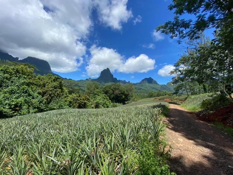 Beach De Reve De Moorea Hauru エクステリア 写真