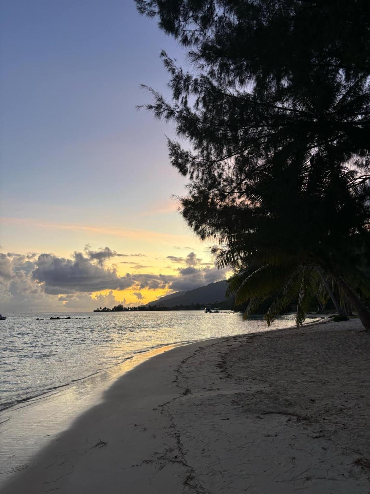 Beach De Reve De Moorea Hauru エクステリア 写真